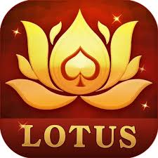 teen patti joy apk download download